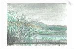 Isle of Jura in downpour, 2005 by Vincent Alexander Booth