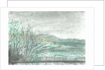 Isle of Jura in downpour, 2005 by Vincent Alexander Booth