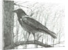 Bird, 2011 by Vincent Alexander Booth