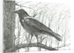 Bird, 2011 by Vincent Alexander Booth