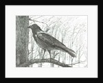 Bird, 2011 by Vincent Alexander Booth