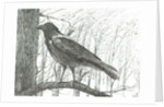 Bird, 2011 by Vincent Alexander Booth