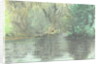 Marlborough pond, 2005 by Vincent Alexander Booth