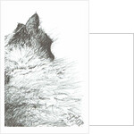 Baby keeps warm New Year, 2005 by Vincent Alexander Booth