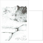 Montwee and Baby New Year, 2005 by Vincent Alexander Booth