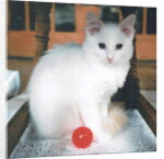 Red Ball Boy, 2017 by Vincent Alexander Booth