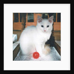 Red Ball Boy, 2017 by Vincent Alexander Booth