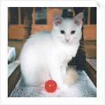 Red Ball Boy, 2017 by Vincent Alexander Booth