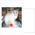 Red Ball Boy, 2017 by Vincent Alexander Booth