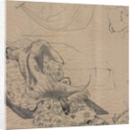 Slumber in Summer heat, 1997 by Vincent Alexander Booth