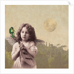 Frog Chorus, 2014 by Olga Snell