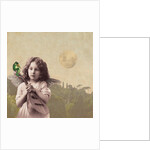 Frog Chorus, 2014 by Olga Snell