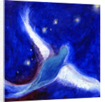 Star Bird, 2012 by Nancy Moniz Charalambous