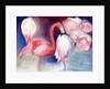 Pretty in Pink, 2012 by Nancy Moniz Charalambous