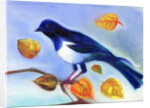 Autumn Magpie, 2012 by Nancy Moniz Charalambous