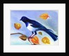 Autumn Magpie, 2012 by Nancy Moniz Charalambous
