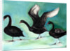 A ballet of Black Swans, 2013 by Nancy Moniz Charalambous