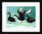 A ballet of Black Swans, 2013 by Nancy Moniz Charalambous