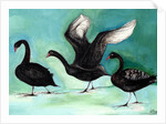 A ballet of Black Swans, 2013 by Nancy Moniz Charalambous