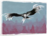 Canyon Eagle, 2014 by Nancy Moniz Charalambous