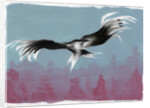 Canyon Eagle, 2014 by Nancy Moniz Charalambous