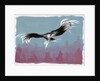 Canyon Eagle, 2014 by Nancy Moniz Charalambous