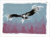 Canyon Eagle, 2014 by Nancy Moniz Charalambous