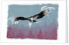 Canyon Eagle, 2014 by Nancy Moniz Charalambous