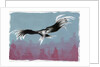 Canyon Eagle, 2014 by Nancy Moniz Charalambous