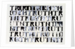 The Truth in Black and White, 2015 by Nancy Moniz Charalambous