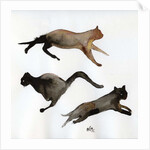 Run Cat Run, 2017 by Nancy Moniz Charalambous