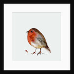 Fat Robin, 2017 by Nancy Moniz Charalambous