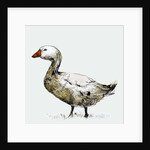 Filthy Goose, 2017 by Nancy Moniz Charalambous