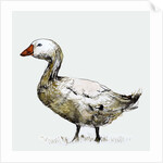 Filthy Goose, 2017 by Nancy Moniz Charalambous