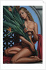 Bird of Paradise, 2007 by Catherine Abel
