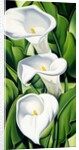 Lilies, 2002 by Catherine Abel