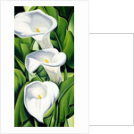 Lilies, 2002 by Catherine Abel