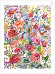Roses do Ramble by Neela Pushparaj