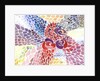 Rose Mosaic, 2002 by Neela Pushparaj