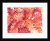 autumn monochrome, 2000 by Neela Pushparaj