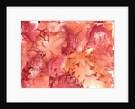 autumn monochrome, 2000 by Neela Pushparaj