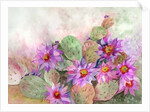 cactus garden by Neela Pushparaj