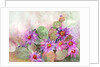 cactus garden by Neela Pushparaj
