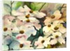 dogwood, 2002 by Neela Pushparaj