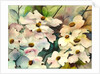 dogwood, 2002 by Neela Pushparaj