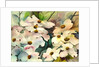 dogwood, 2002 by Neela Pushparaj
