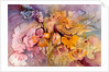 petals on petals by Neela Pushparaj