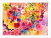 red carnation by Neela Pushparaj