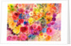 red carnation by Neela Pushparaj