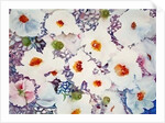 white poppies by Neela Pushparaj